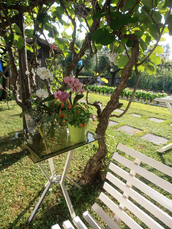 Il Volo Apartment Lucca Phòng bức ảnh