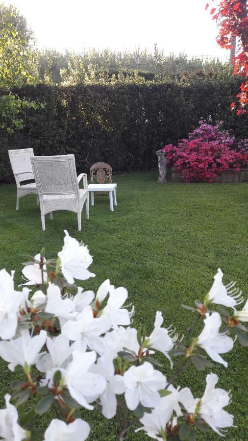 Il Volo Apartment Lucca Ngoại thất bức ảnh